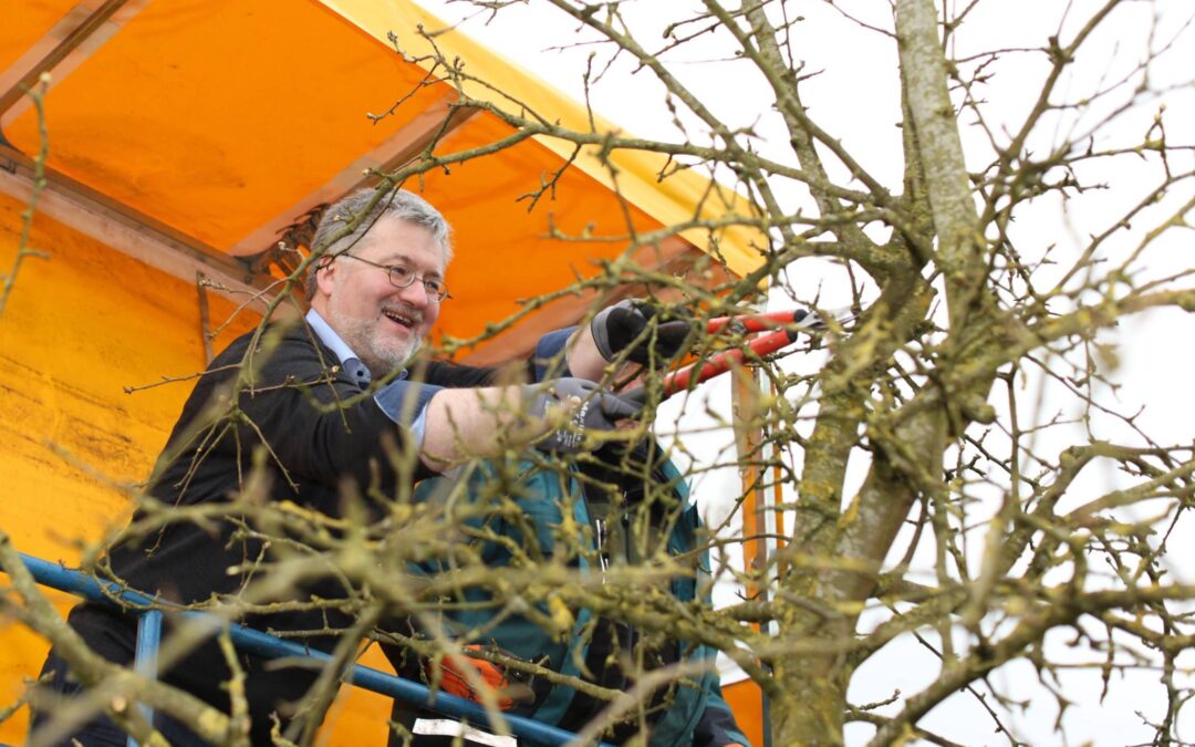Baumschule Bruns zeigt Abgeordnetem, wo die Bäume in den Himmel wachsen